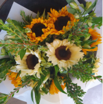 Screenshot 2026-01-23 000833.png