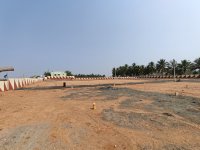 Brahma park 1.jpeg